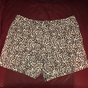 White House Black Market leopard shorts size 6